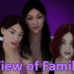 311 View of Family